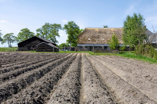 Medium property photo - Oshaarseweg 71, 7958 PR Koekange